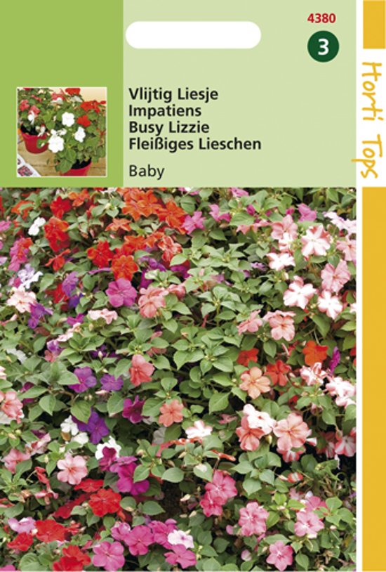 Busy Lizzy Baby Mix (Impatiens) 175 seeds